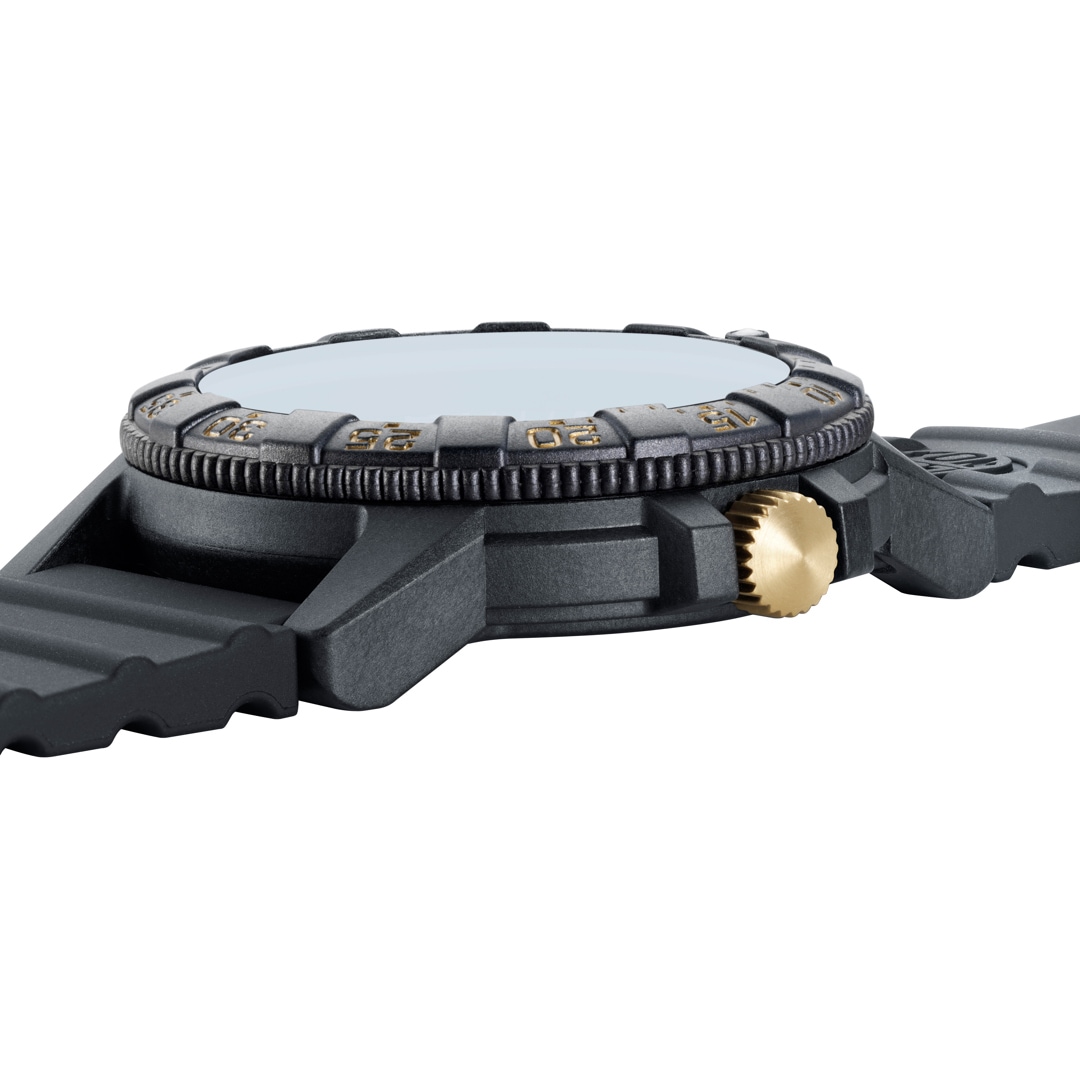 Luminox Leatherback Sea Turtle Giant 0320 Series