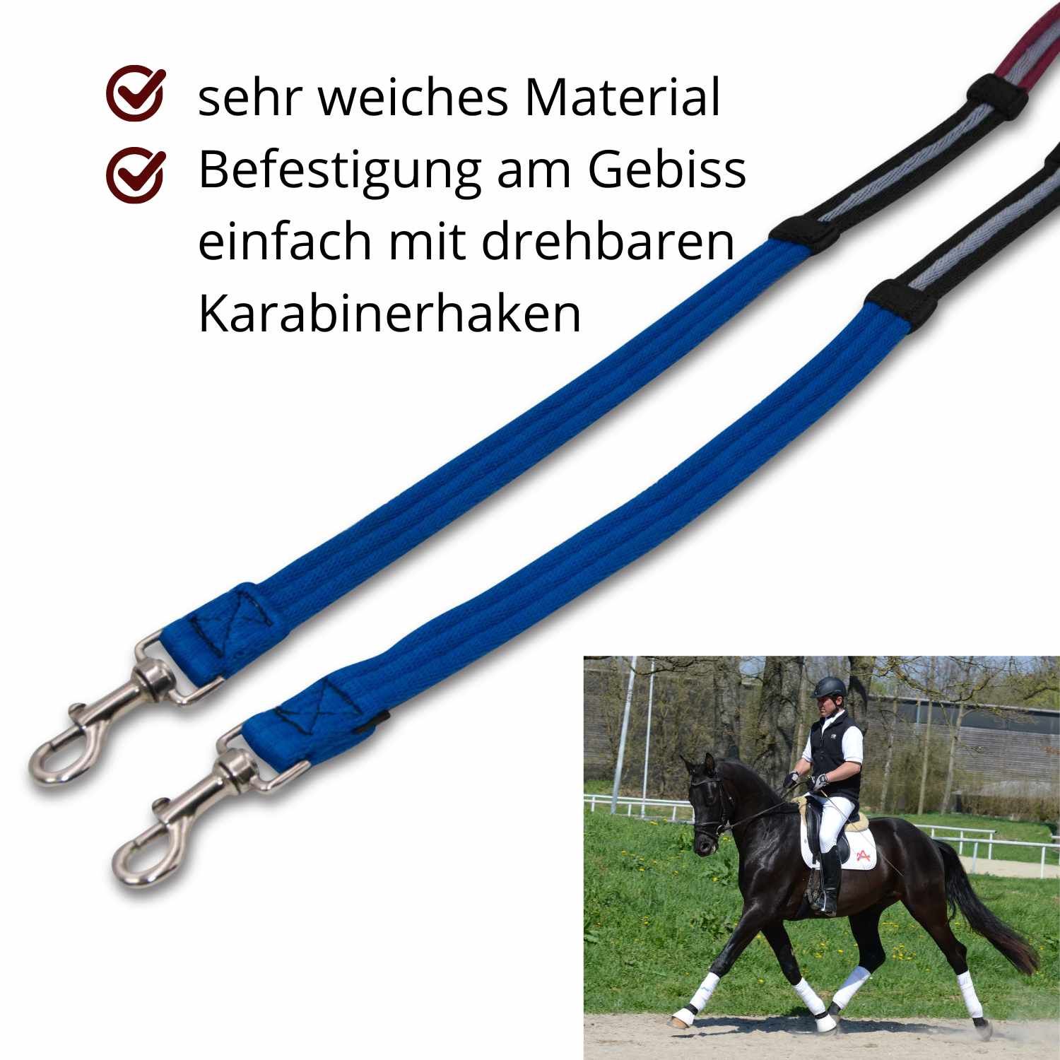 EKKIA Lehrzügel
