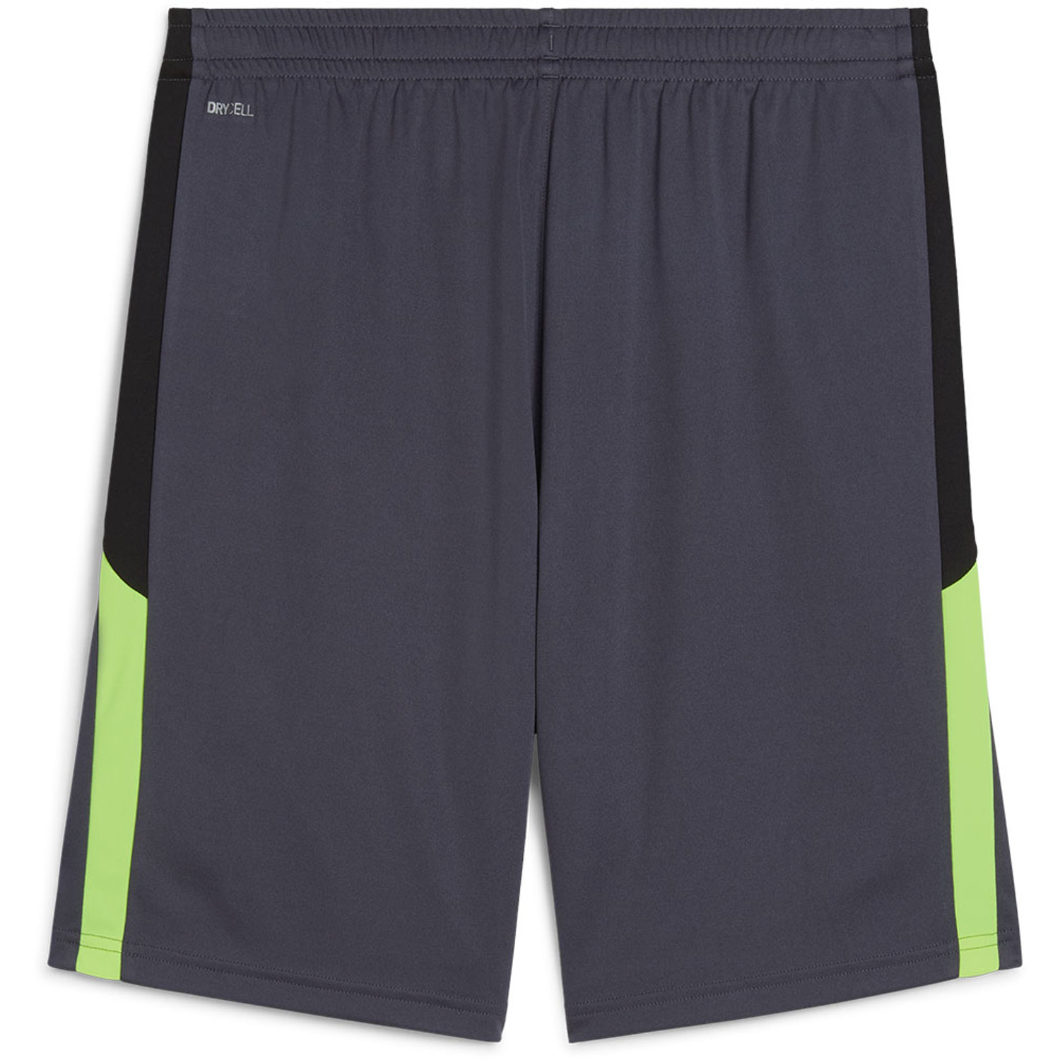 Puma LIGA Training Short