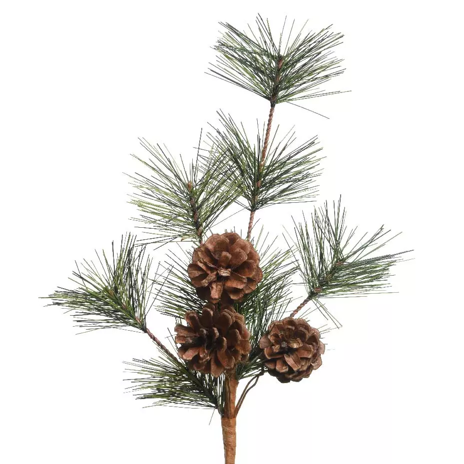 Branche de sapin (30 cm) Conifère et pomme de pin