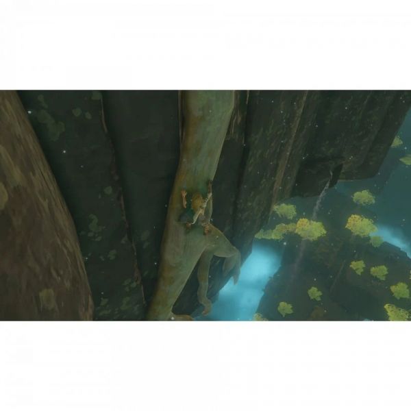 The Legend of Zelda: Tears of the Kingdom Nintendo Switch