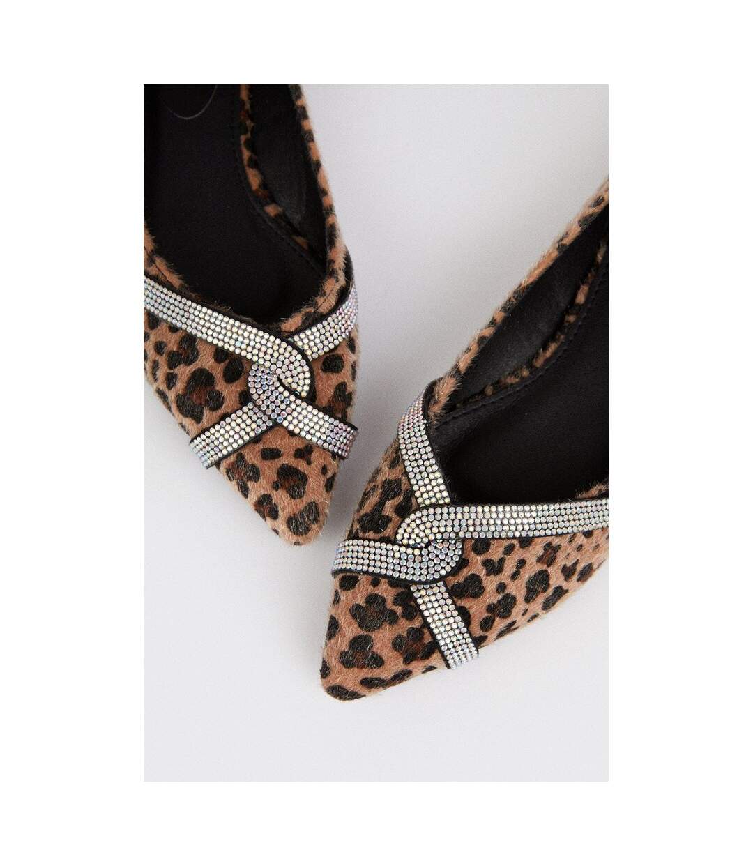 Dorothy Perkins - Ballerines PERCY - Femme (Marron / Noir) - UTDP1815