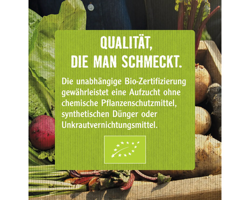Biologische Adzukibonen Sperli Sprout Zaden