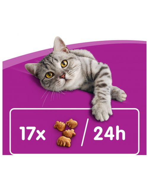 Whiskas Dentabites - Kattensnack - Dental 40 g