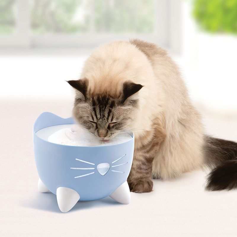 Abreuvoir Catit PIXI bleu