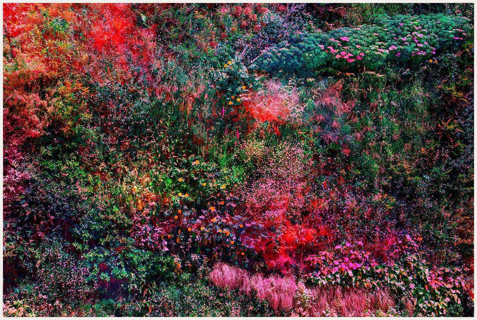 Wall of Nature VIII by Viet Ha Tran - Limited Edition. Edition of: 150. Signed.