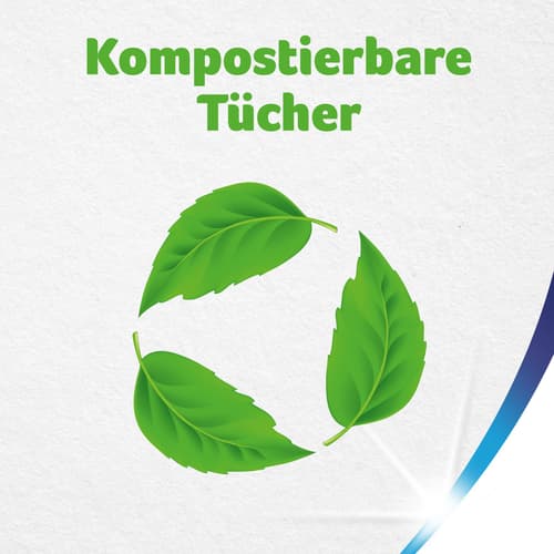 Zewa Wisch & Weg Küchentücher Sparblatt 4x74 Blatt