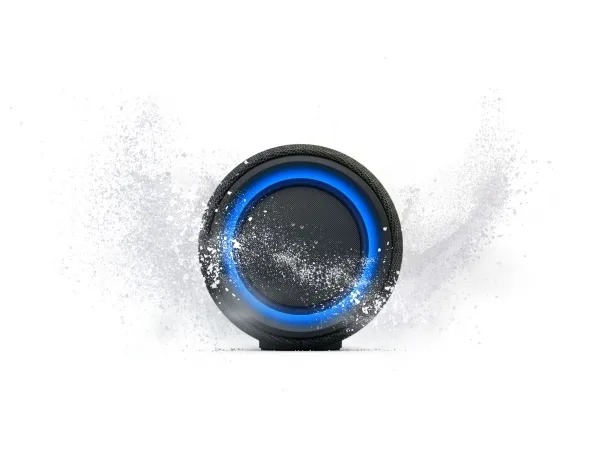 Sony SRS-XG300 - Højttaler - til transportabel brug - trådløs - Bluetooth - App-kontrolleret - 2-vejs - sort