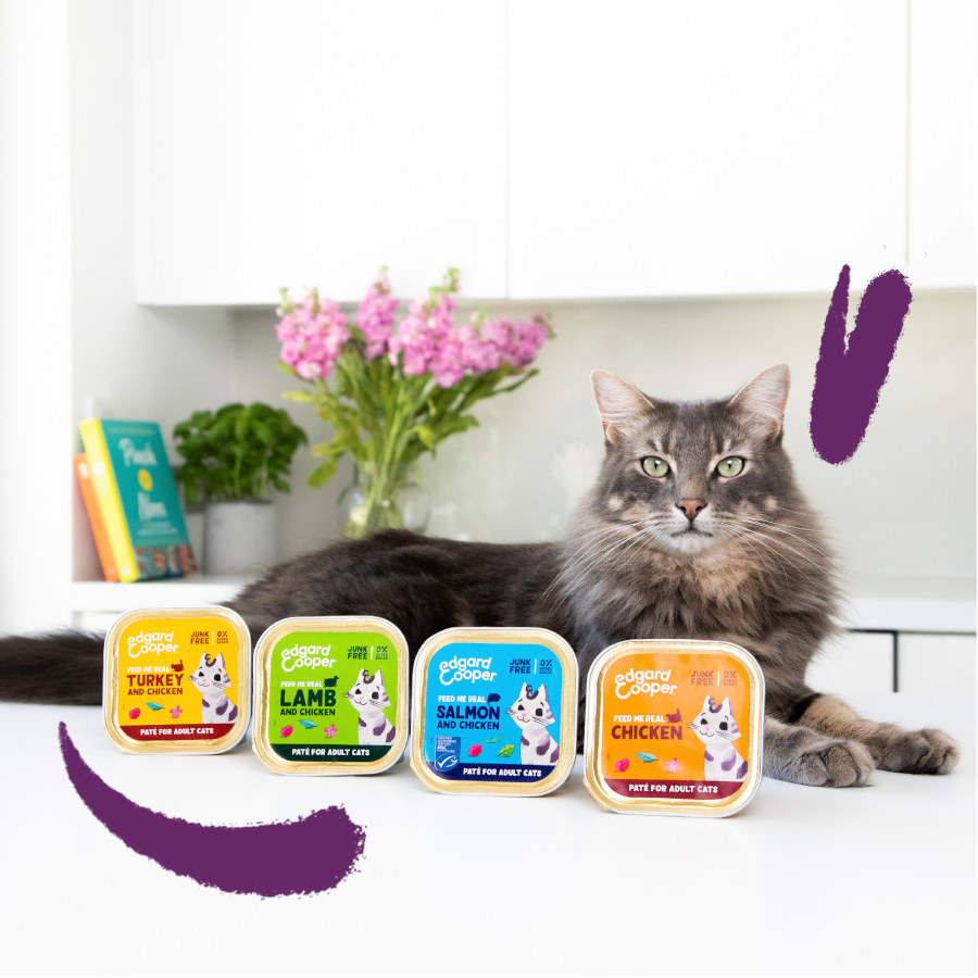 Edgard & Cooper Patê de Cordeiro e Frango Adulto para Gatos