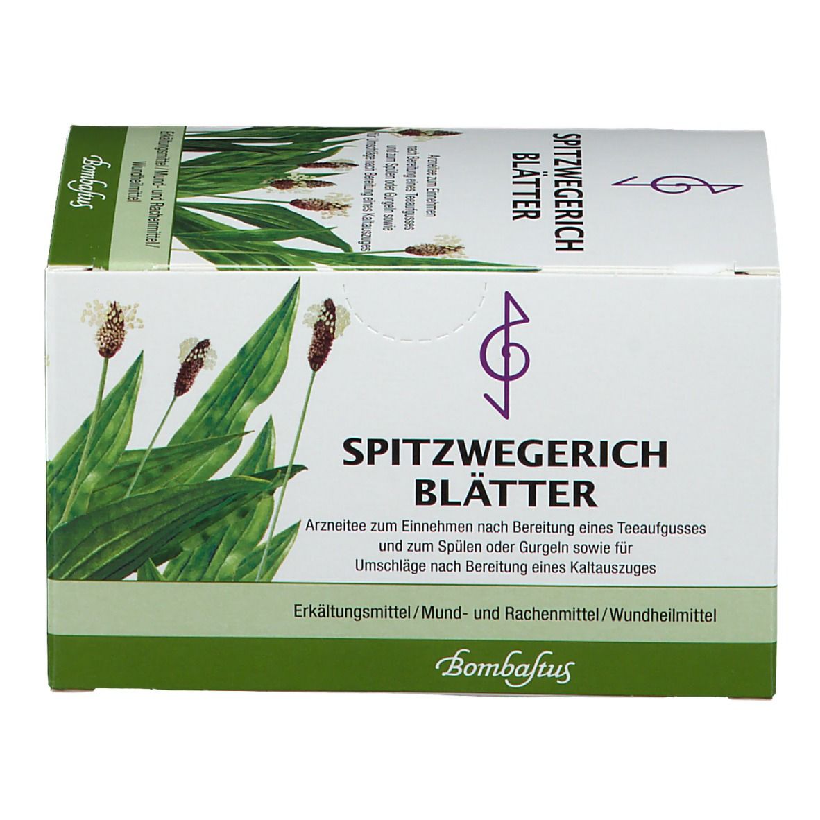 Bombastus Spitzwegerich Blätter