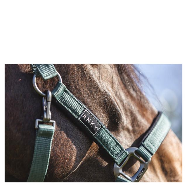 Halster ANKY Grooming Donkergroen