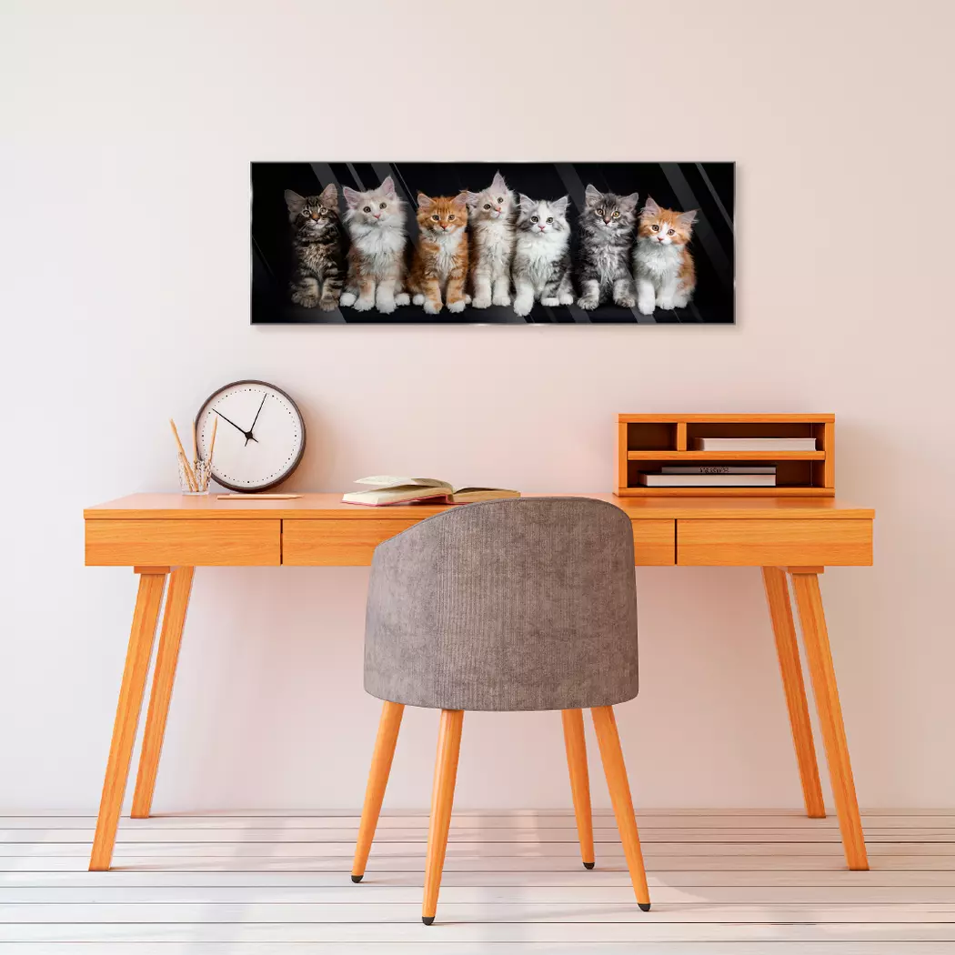 Glasbild 33 x 98 cm Cats