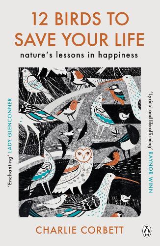 12 Birds to Save Your Life: Nature's Lessons in Happiness (Paperback)