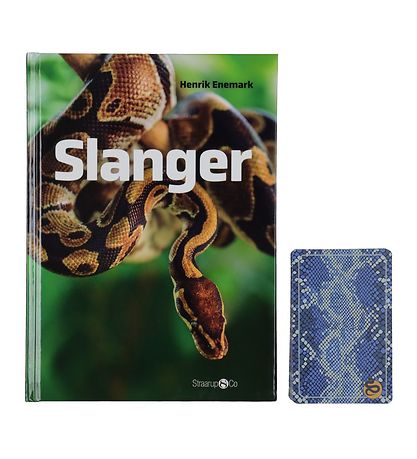 Straarup & Co Buch Sampak - Spiele & Lesen - Schlangen