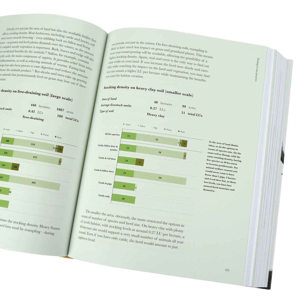 The Book of Wilding: A Practical Guide to Rewilding, Big and Small (Hardback)