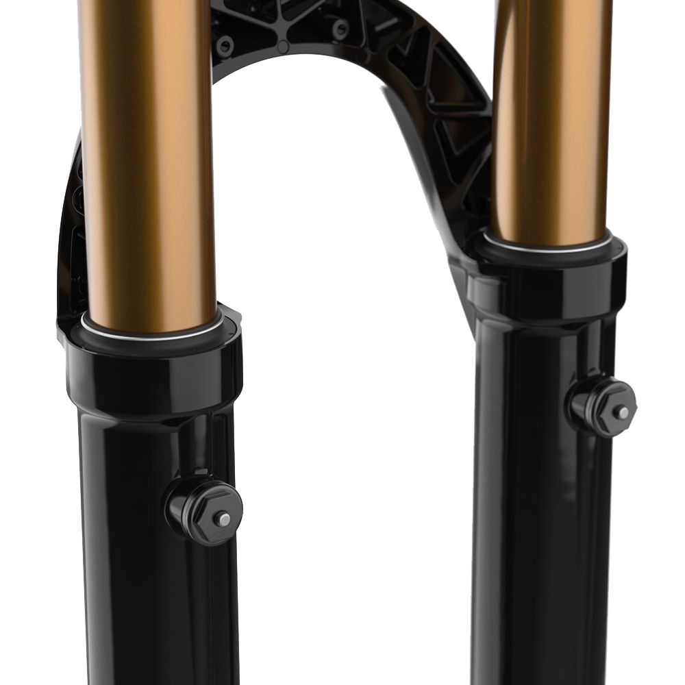 Fox Racing Shox 36 Float 29