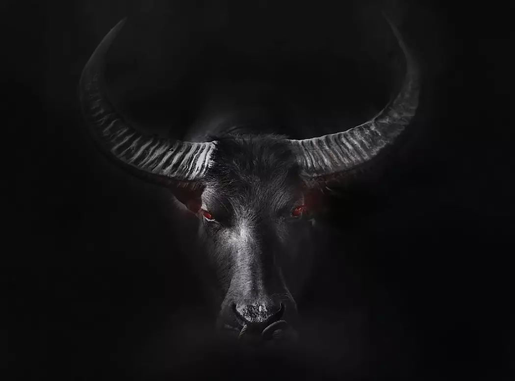 Wandbild 100 x 135 cm Black Taurus
