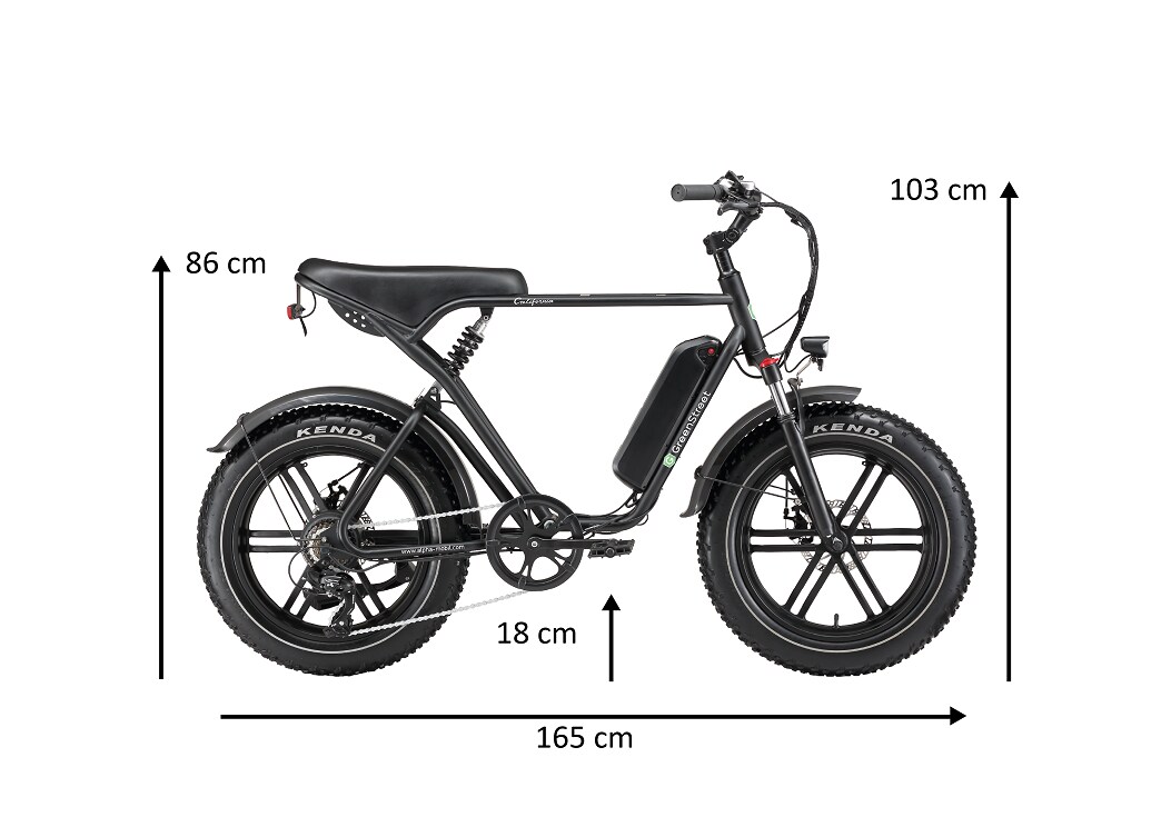 GreenSteet E-Bike Fat Tire California 250 W 20 Zoll schwarz