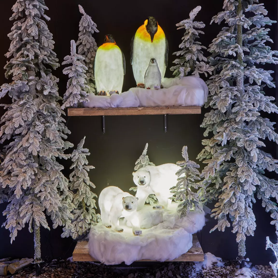 Pingouin lumineux et son bébé fibre de verre 8 LED (H60 cm) Blanc froid