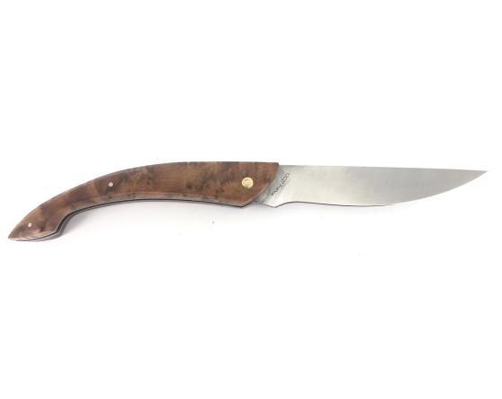 Le Monnerie - Plein Manche Thuya Couteau Le Thiers par Locau