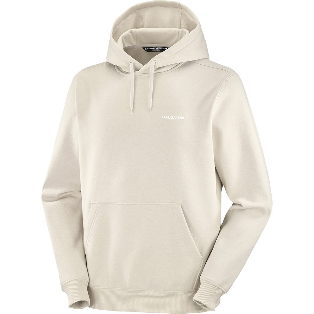 Salomon Logo Hoodie Herren rainy day