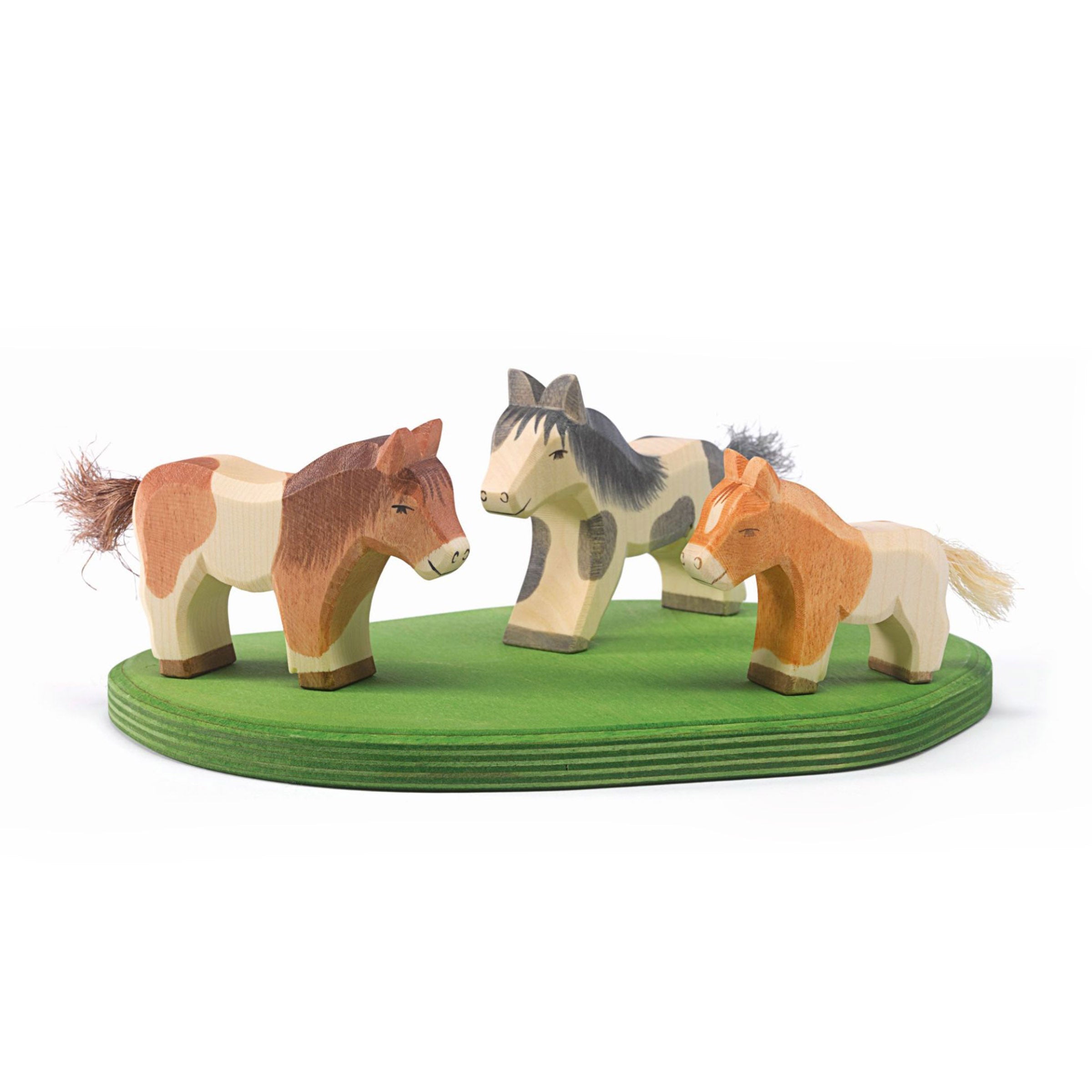 Ostheimer Shetland Pony laufend