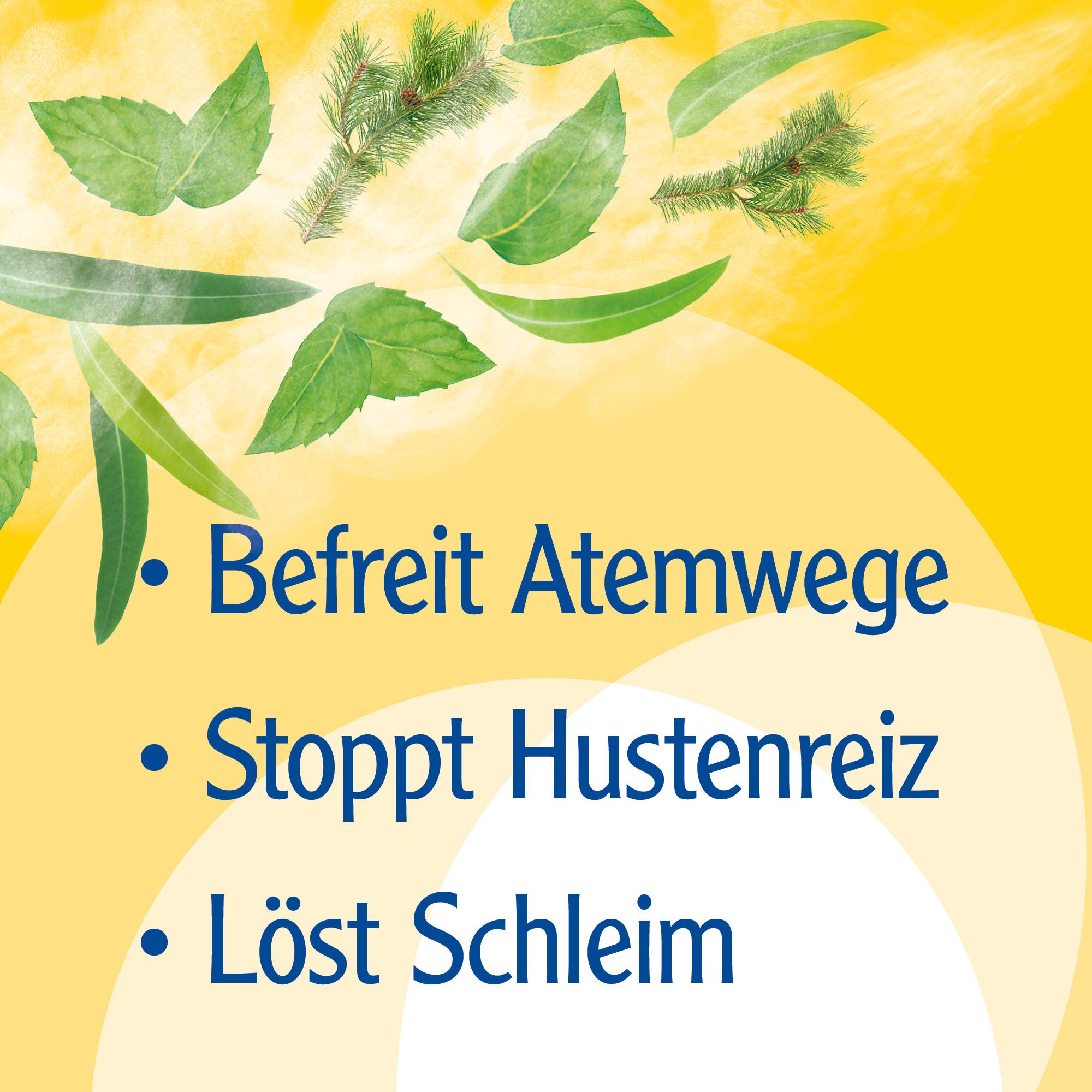 Pinimenthol® Erkältungssalbe ab 12 Jahren - mit Eucalyptusöl, Kiefernnadelöl und Menthol