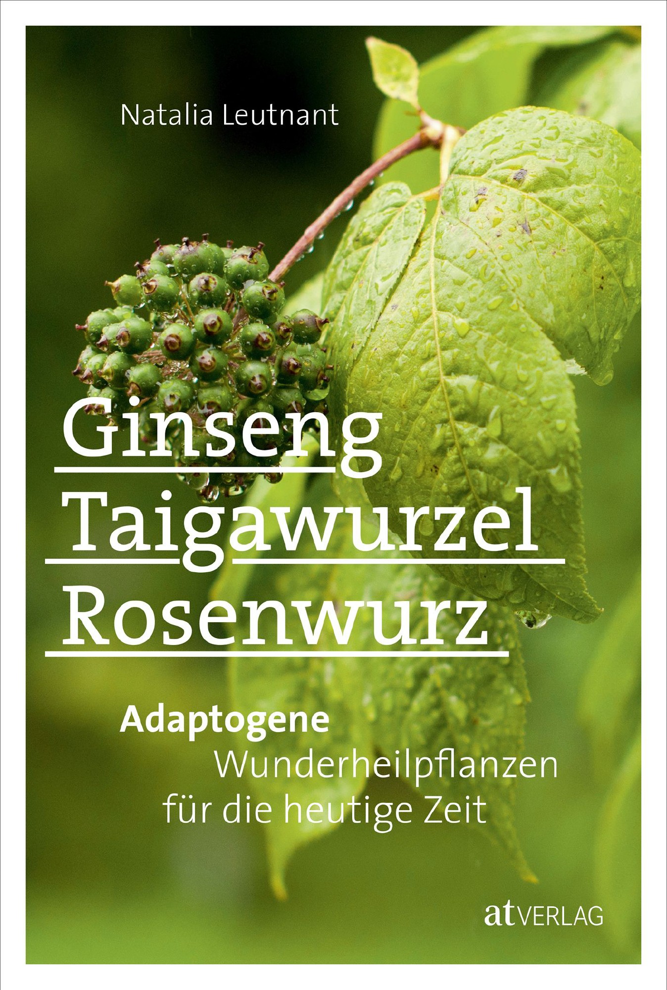Buch 'Ginseng, Taigawurzel, Rosenwurz', Adaptogene Wunderheilpflanzen für die heutige Zeit günstig bestellen