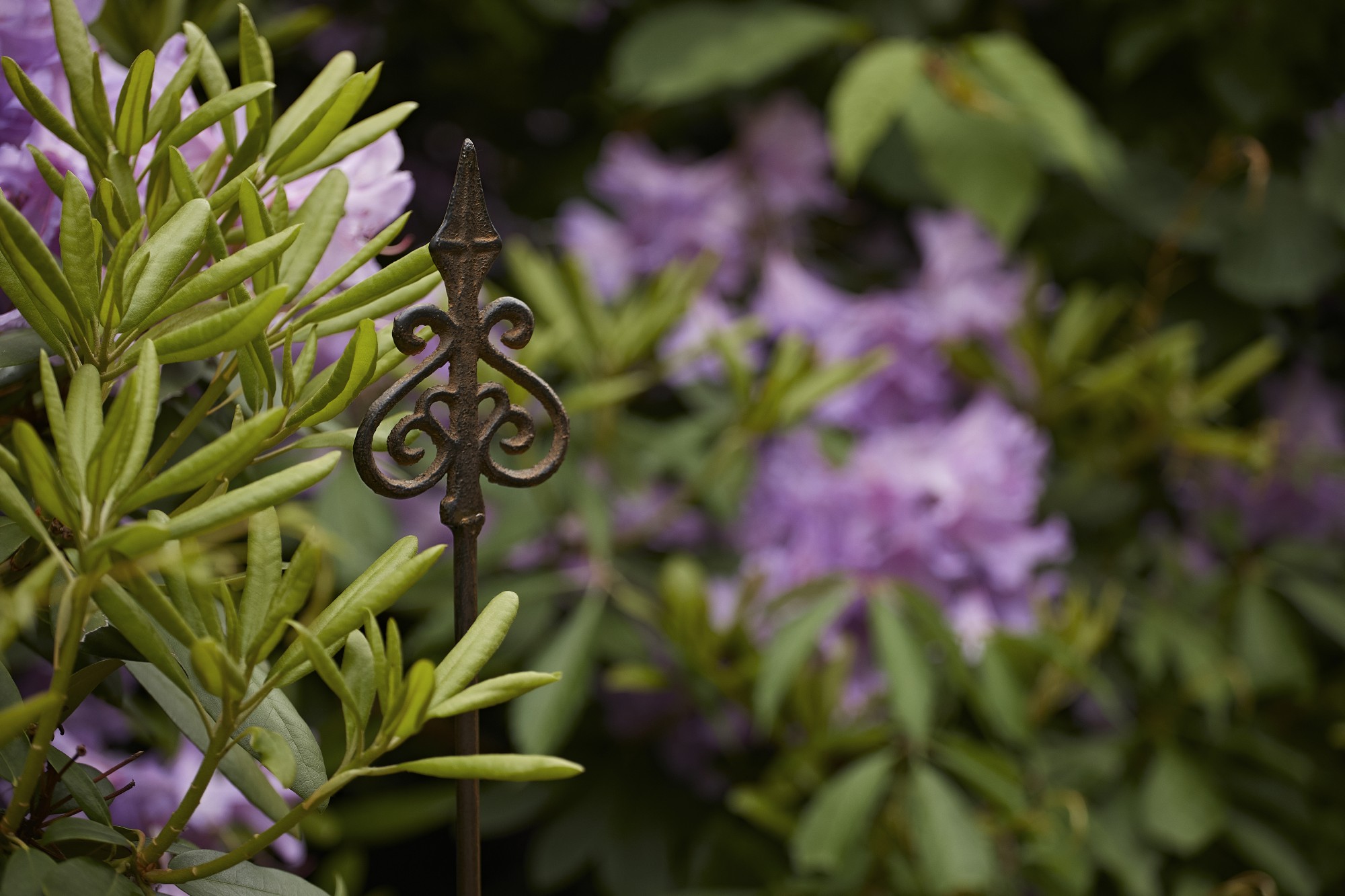 Gartenstecker 'Lilie', T 1 cm, B 8,5 cm, H 110 cm günstig bestellen