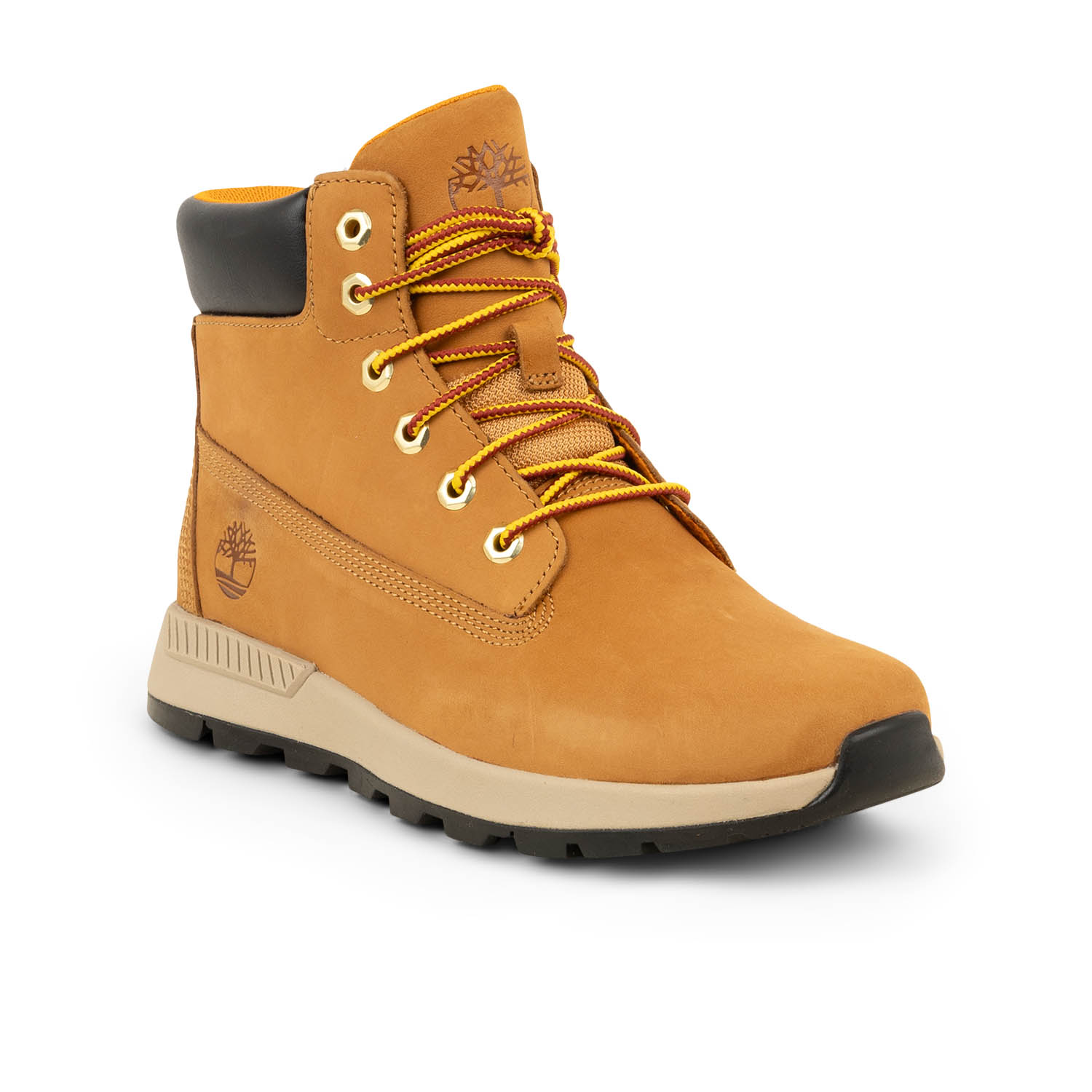 Chaussures montantes fille, garçon TIMBERLAND KILLINGTON TREKKER