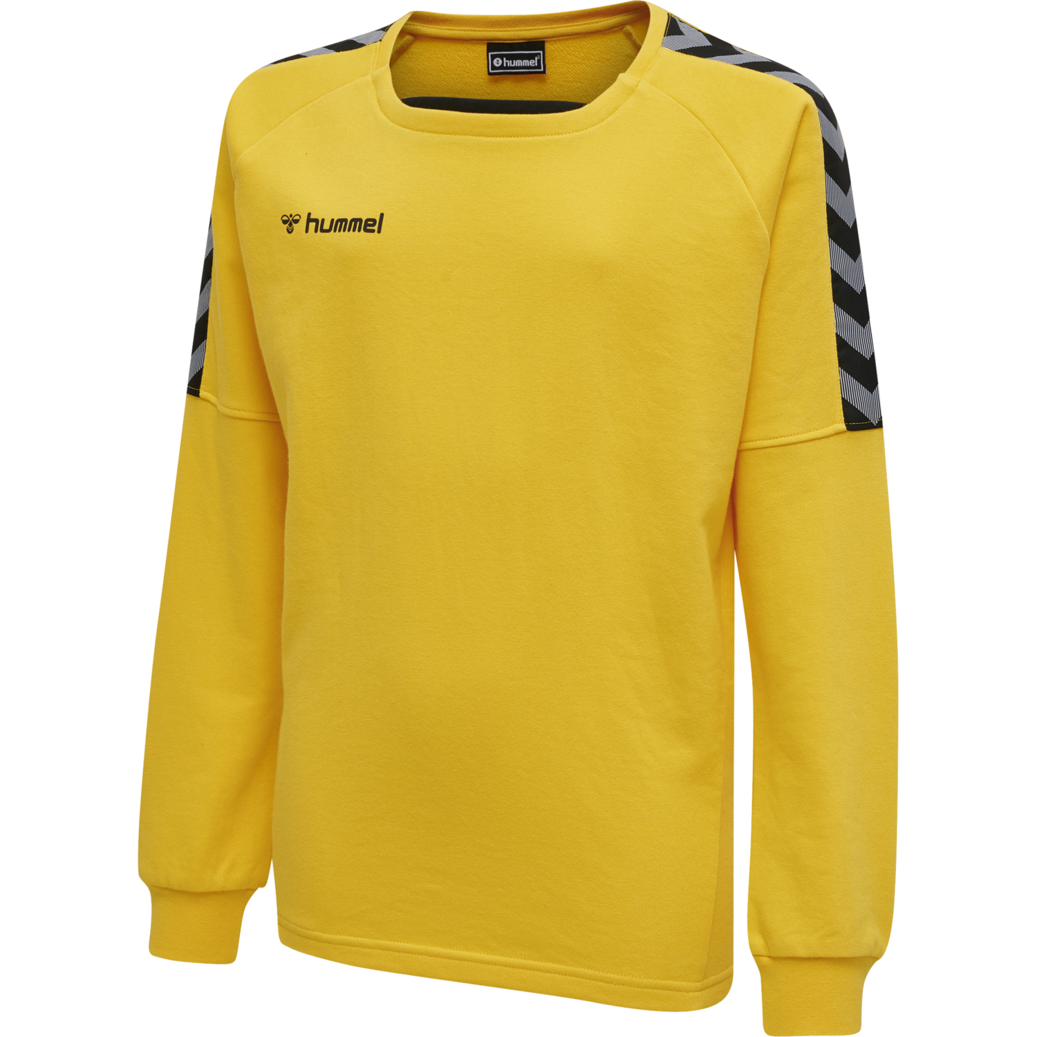 hmlAUTHENTIC KIDS TRAINING SWEAT