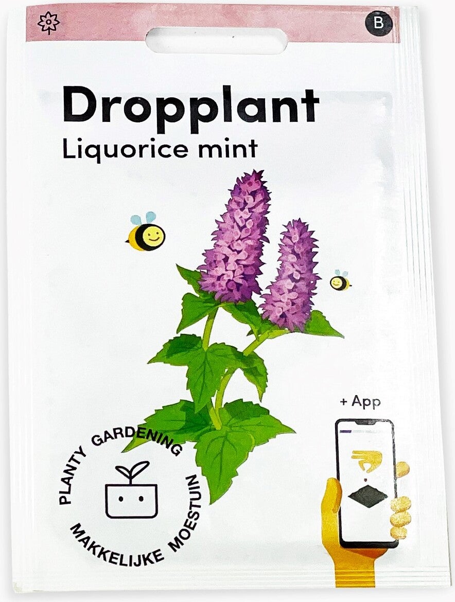 Makkelijke Moestuin kruidenzaad Dropplant (Agastache)
