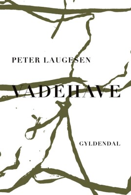 Vadehave - Peter Laugesen - Bog