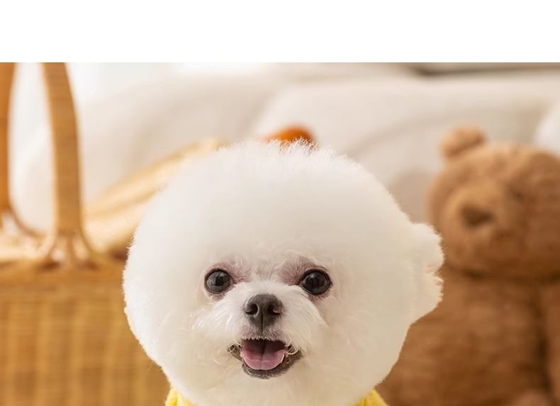 Cissilli - Panda Applique Chenille Pet Overall