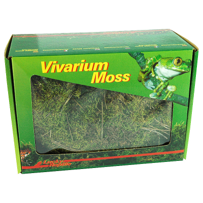 Lucky Reptile Vivarium Moos
