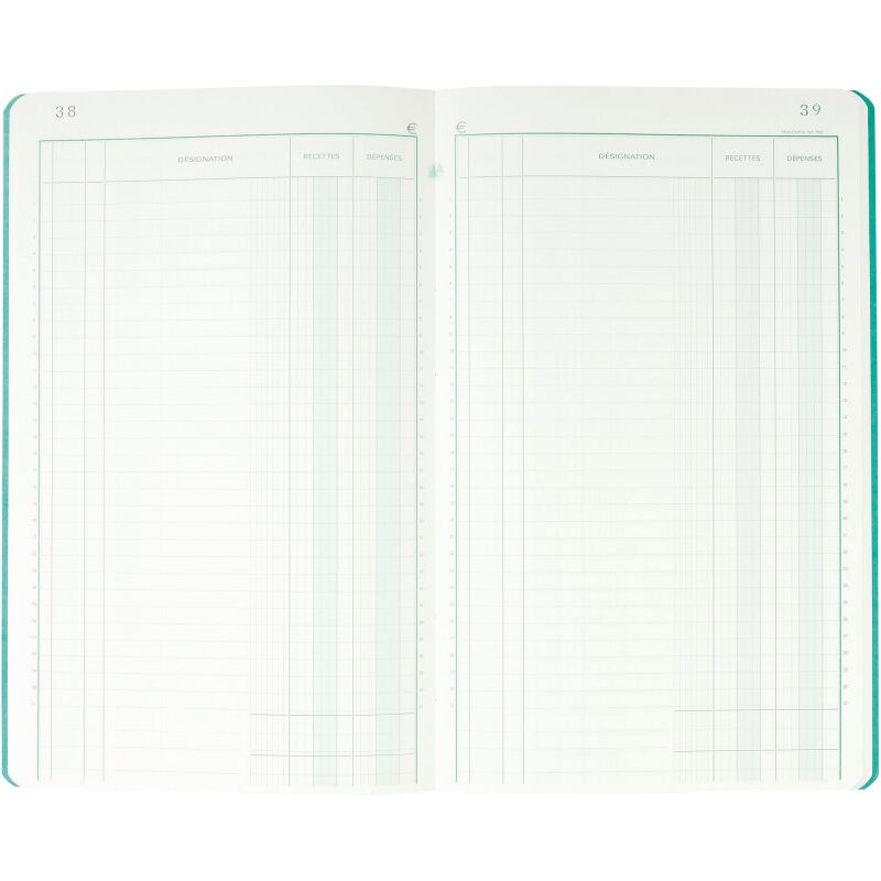 Registre standard recettes dépenses 2 colonnes Exacompta 7730E - 19,5 x 32 cm 80 pages
