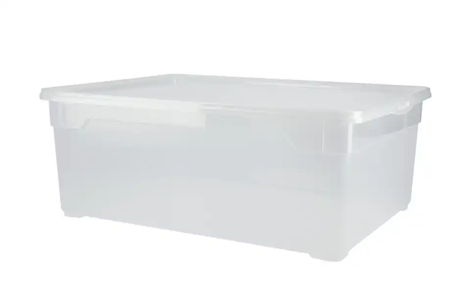 Rotho Aufbewahrungsbox mit Deckel 36,5 cm