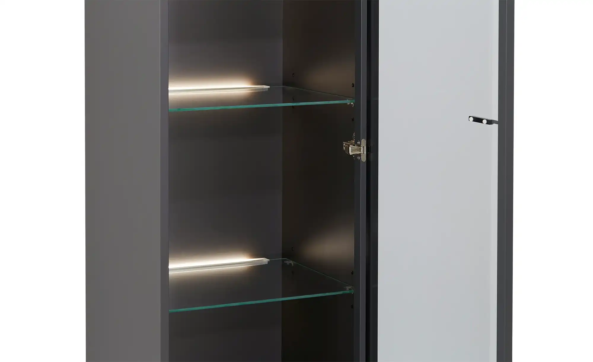 Hängevitrine Light Line 10