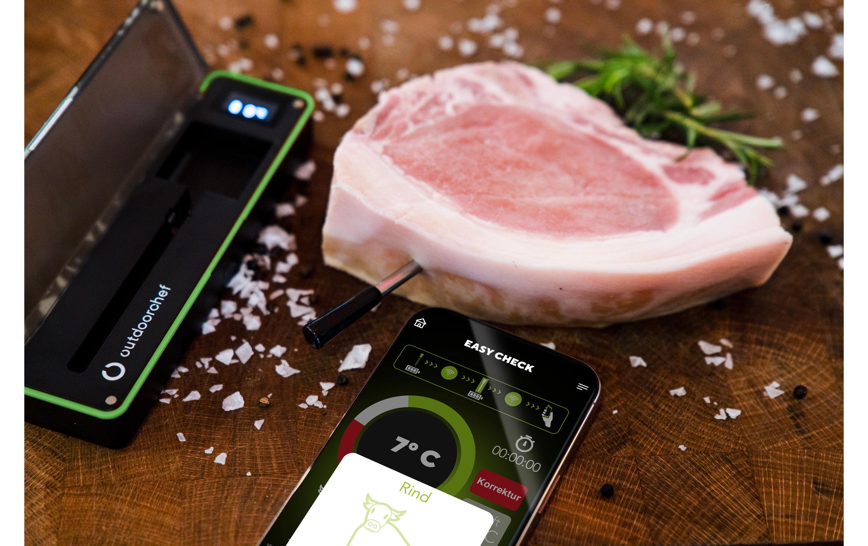 Kerntemperaturmesser Easy Check SingleWireless Bluetooth Grillthermometer