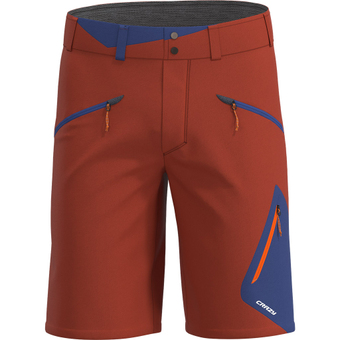 Crazy Resolution Shorts Resina Herren