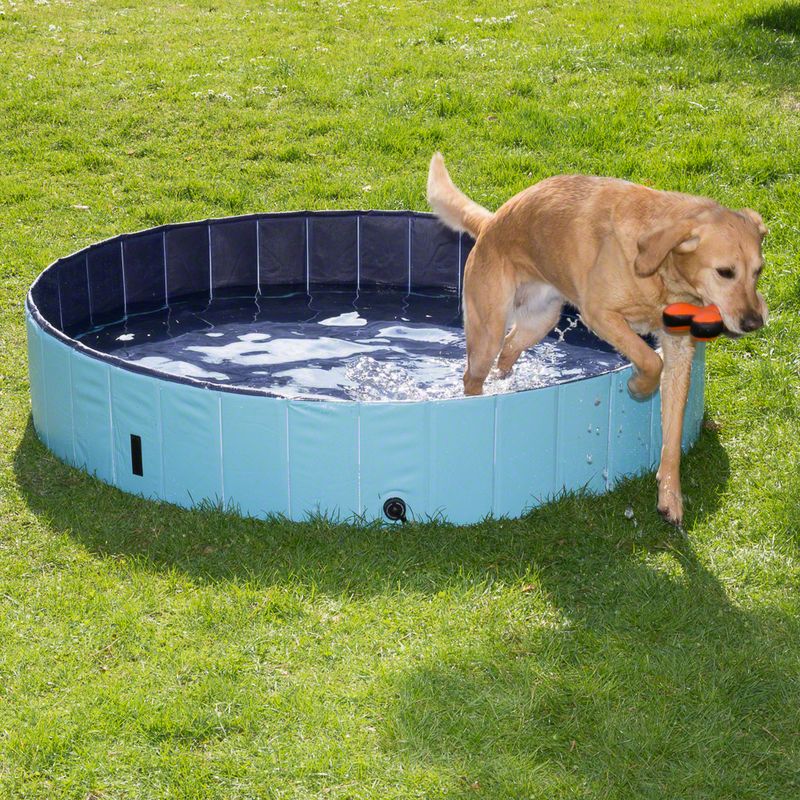 Piscine Dog Pool Keep Cool
