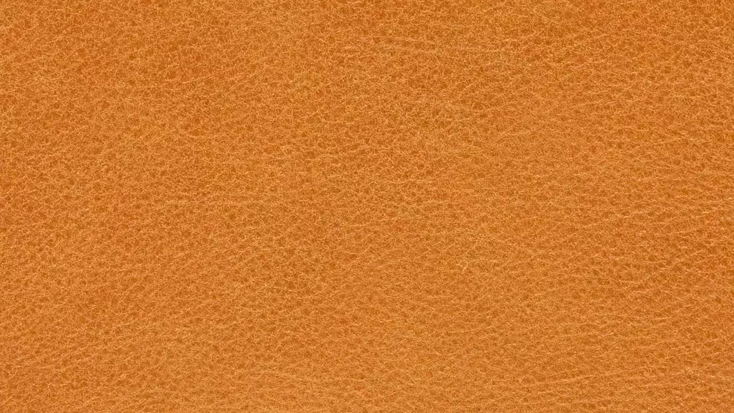 Sessel Yoko No.5