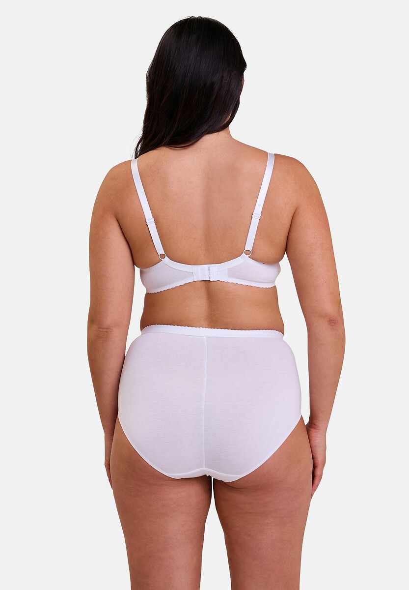 SEM INCONSEGURANÇAS<br>Cuecas Maxi Cotton D'arum