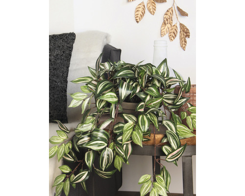 Kunstplant Tradescantia (spinkruid) H 15 cm groen