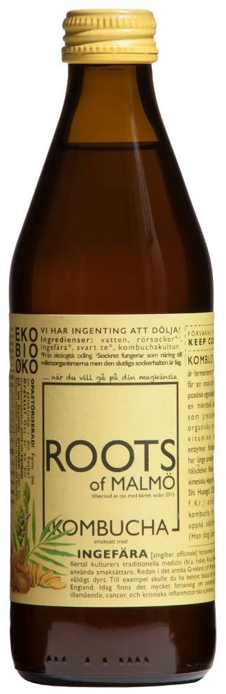 Kombucha Ingefær