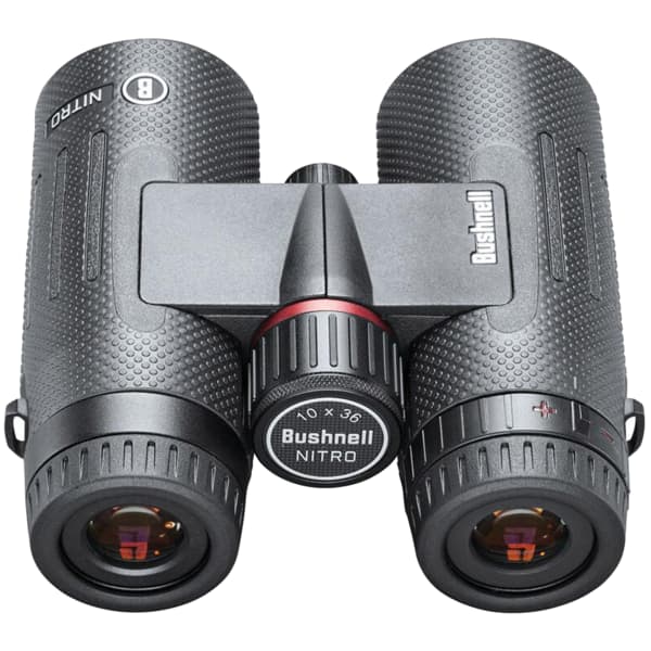Jumelle BUSHNELL NITRO 10X36 BLACK