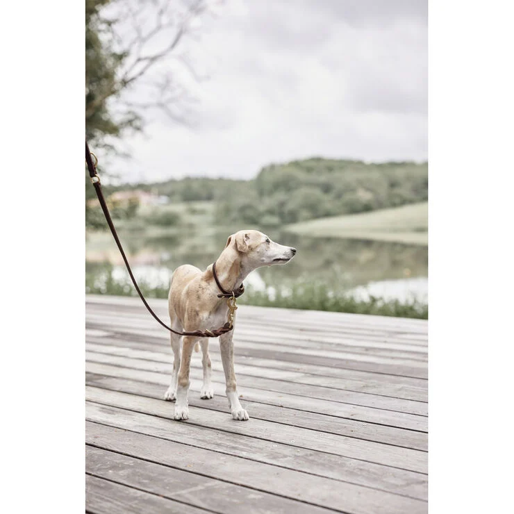 OYOY Living Design Robin Hundesnor - M/L Choko