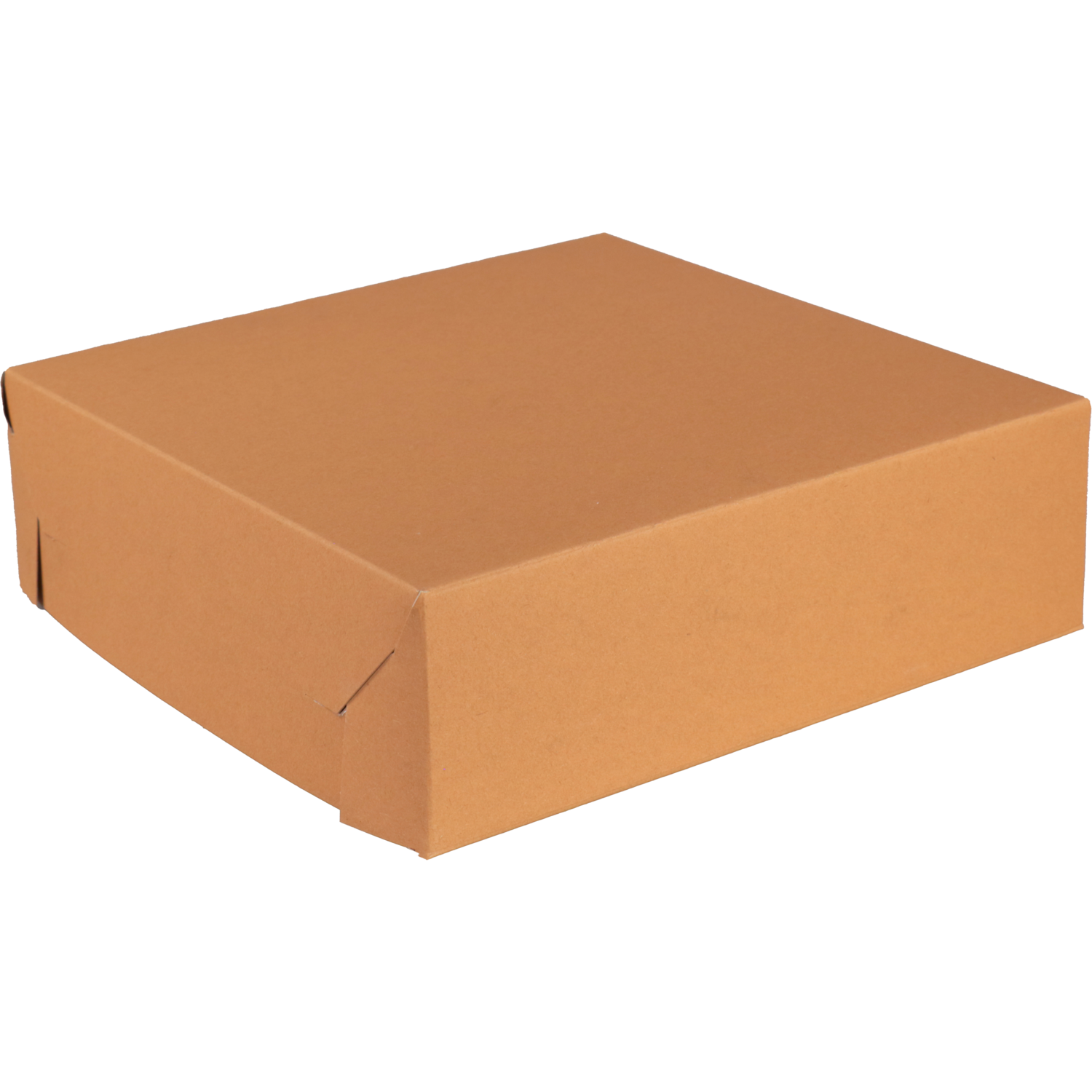 Biodore Zwanenhalsdoos, kraftpapier, 30x30x9cm, bruin