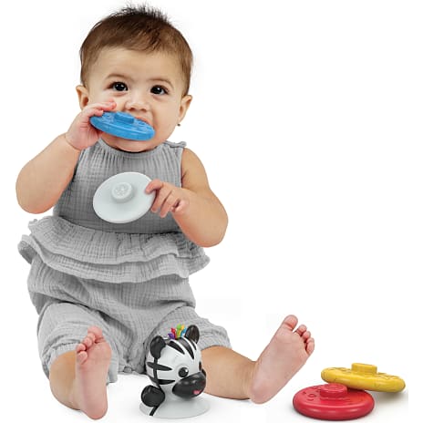 Baby Einstein Stack & Wobble bidering