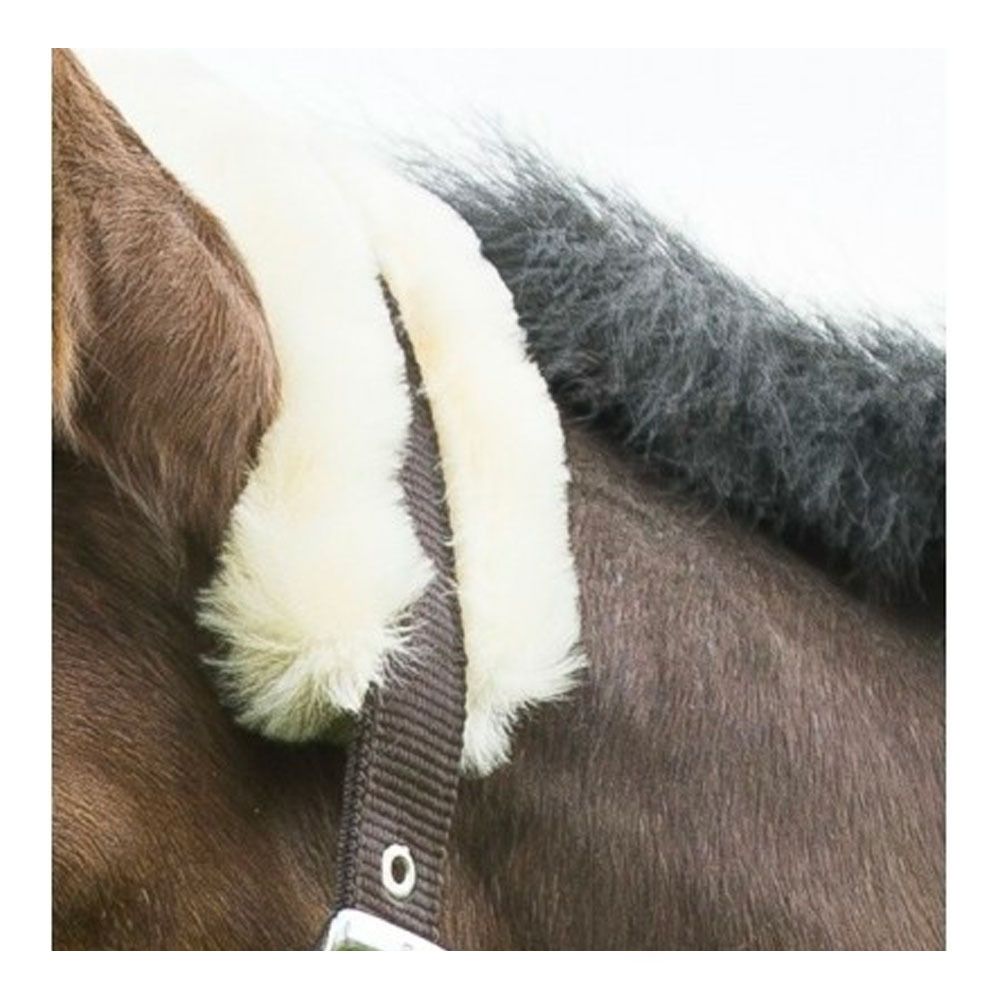 Equitheme TEDDY - Licol brun